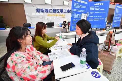 打開城鄉融合發展新空間——信息咨詢服務助力城鄉一體化發展觀察
