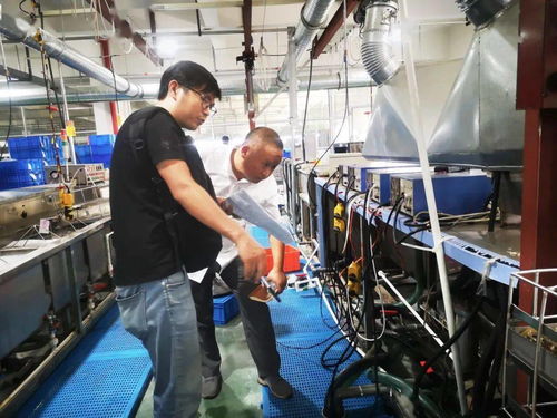 規范廠中廠，服務小微園 樂清翁垟街道多措并舉繃緊企業生產安全弦